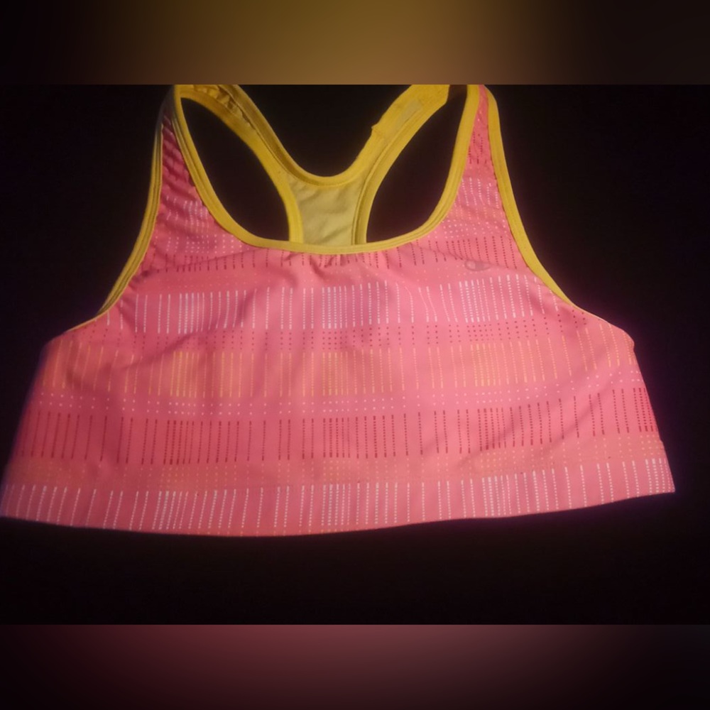 Champion Sports bra